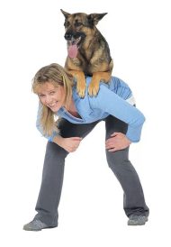 article image - 